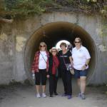 cambria_263 (November 03, 2018)